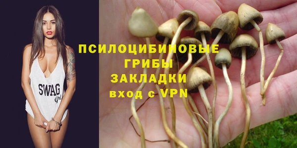 ПСИЛОЦИБИНОВЫЕ ГРИБЫ Абинск