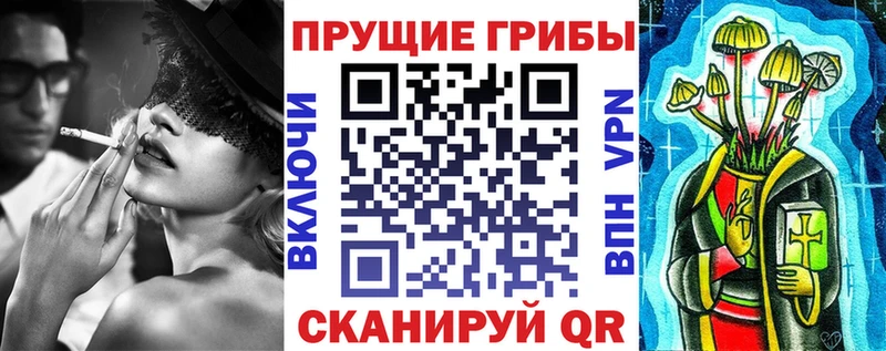 Псилоцибиновые грибы Psilocybine cubensis Киров