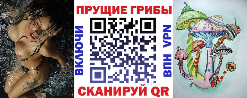 Псилоцибиновые грибы GOLDEN TEACHER  KRAKEN сайт  Киров 